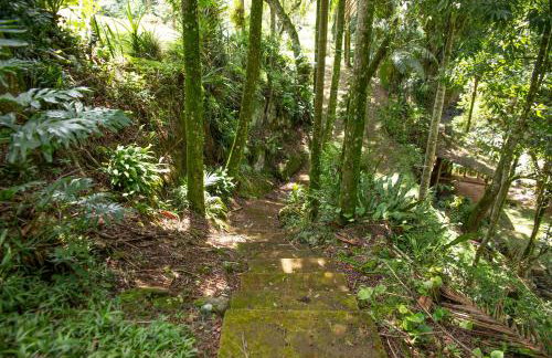 Canto da cascata - Foto 41