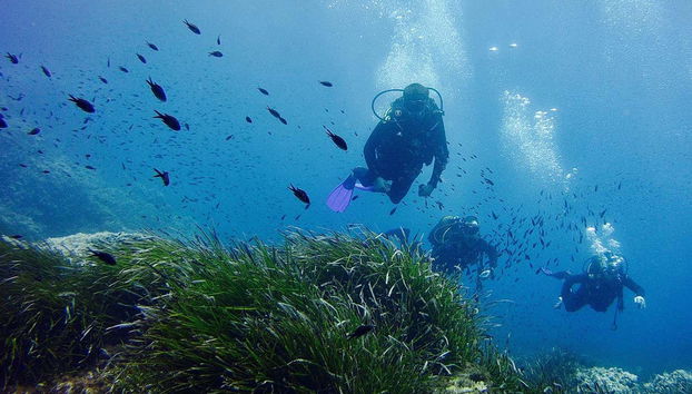 Disfrutando de la inmersión