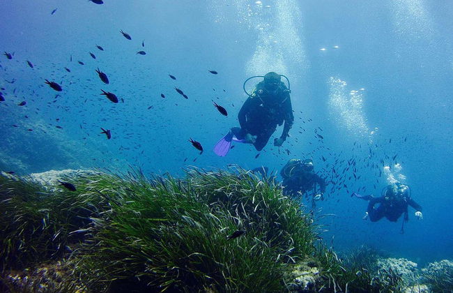 Bautismo de buceo en Puerto Addaya - Foto 3