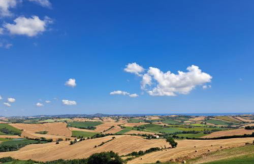 Apartment Terre Roveresche - Photo 4