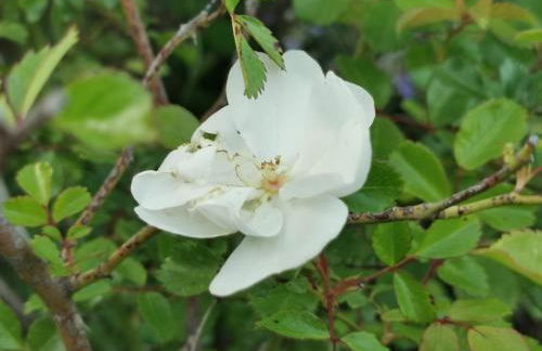 Poggio Giulia - Foto 41