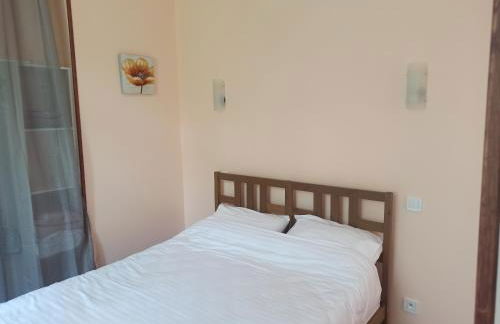 Appartements touristique - La Colombière - Foto 21