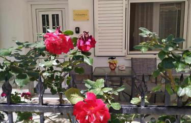 Chrysanty's tea house - Foto 55