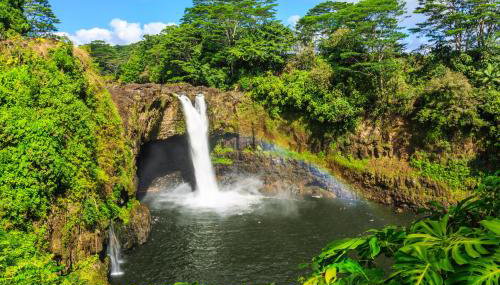 Sea Turtle Life - Foto 2