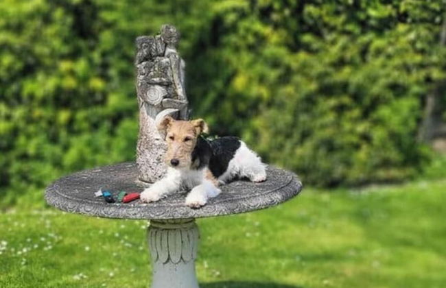 No Title Modern Retreat - Foto 14