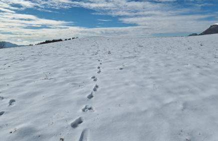 La Cabanya de Can Ganasta - Photo 57