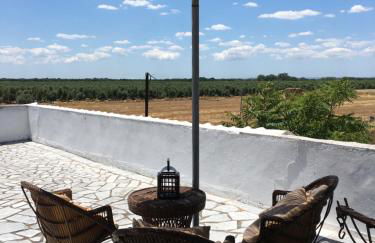 Monte Ramos - Foto 70