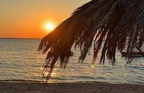 Apartments Stone - Foto 18