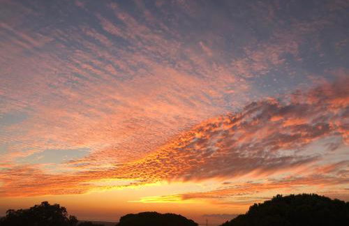 Monte Sardinha - Foto 28