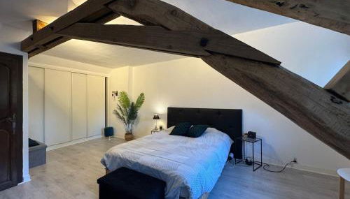 Le Moderne - 6pers - Bugatti Circuit - Zoo - Photo 4