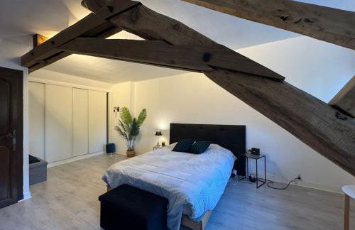 Le Moderne - 6pers - Bugatti Circuit - Zoo - Photo 4