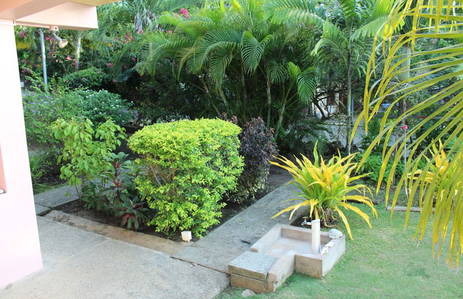 Birdie's Nest - Foto 34