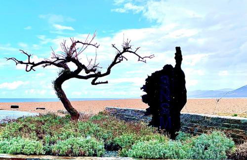 Coquet T2 pres des plages - Foto 1