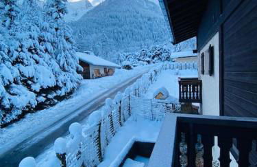 Appartement Brévent - Foto 30