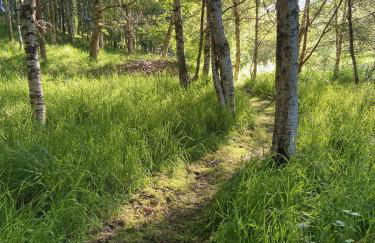 Kirkton Cottage whole house in Cairnie Aberdeenshire - Photo 25