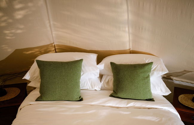 The Forest at Mount Congreve Gardens - Foto 25