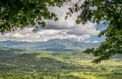 Apartman SIRENA - Photo 14