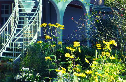 Ferienwohnungen Reichholdsmühle - Foto 9