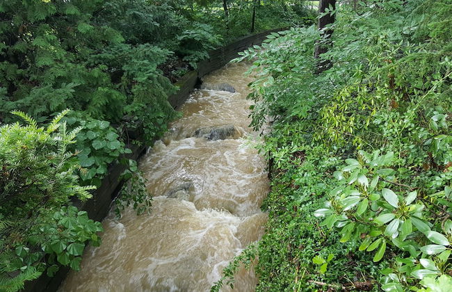 Castle on Glen - 3 Bedroom Home - Photo 14