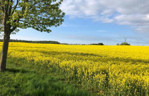 Idyllic Country House By The Castle Pond In Gorow - Foto 23