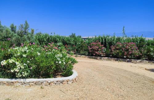 Izzi Mobile Home - Terra Park SpiritoS - Photo 64