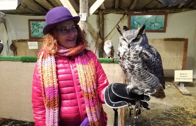 Casa Rural Villa Liquidambar - Foto 55