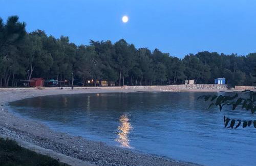 App Sorgo - Photo 56