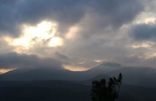 Luise Im Künstlerhaus - Foto 24