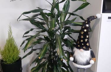 Apartament Górski Potok Murzasichle Apartamenty Murzasichle PL - Foto 47