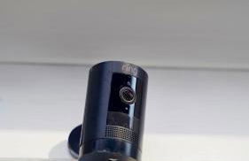 A Cabin in the City with a 5 Star Lush Backyard - Foto 65