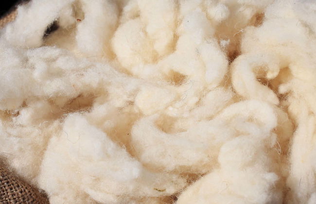 Wool Workshop & Valle Escondido Tour - Foto 1