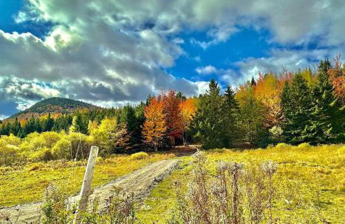 Cozy Off-Grid Cabin with Breathtaking Serene Views for a Peaceful Getaway Surrounded by Nature in Barton, Vermont - Foto 3