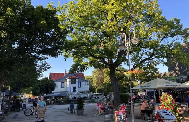 Cecilienpark Oberharz - Photo 18