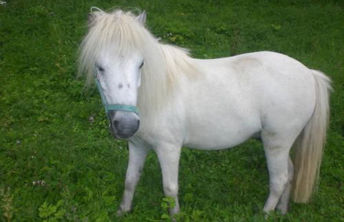 Ferienhof An der Lay - Foto 28