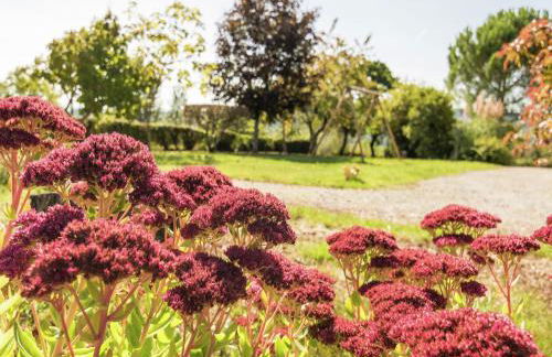 Historic Tower Home in Brignac - Foto 38
