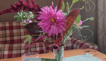 NEU! Ferienwohnung Böhlitz Neun - Foto 5