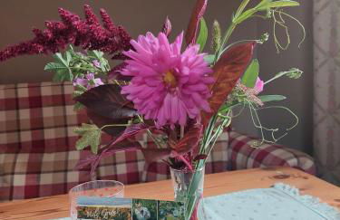 NEU! Ferienwohnung Böhlitz Neun - Foto 5