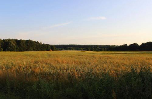 Wiejski domek w środku lasu Osłowo Mielnik - Foto 30