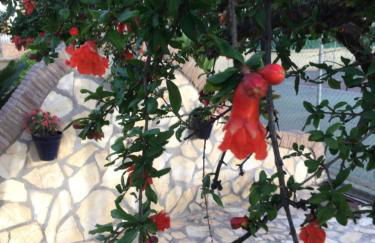 Apartamentos Turísticos Los LLanos - Foto 31