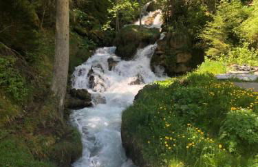 Belle maison traditionnelle - Les Chavonnes - Foto 40
