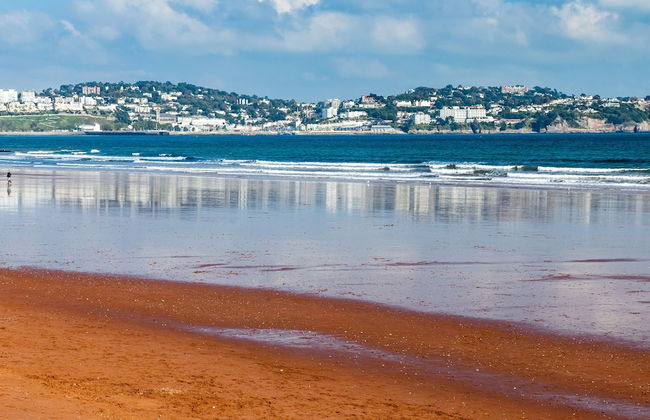 The Spinney in Paignton - Foto 52