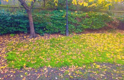 Peaceful, Cosy and Central Stay in Nottingham - Photo 12