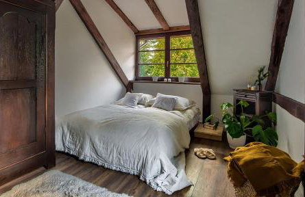 Dzikie Historie Młynik - Photo 18