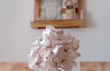 Casa nella Natura Il Risveglio degli Elfi - Foto 12