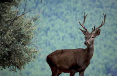 El Rincón de Mariela By Travel Home - Foto 50