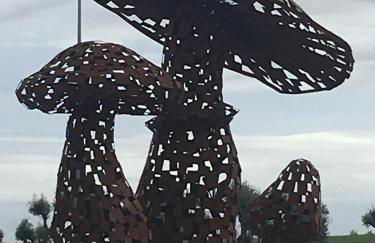 Cantinho da Bia - Alojamento Local - Foto 27