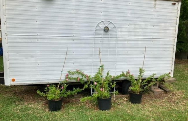 Cozy and Private Retreat - Photo 20