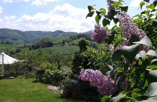 Casa Bruna Appartamenti - Foto 9