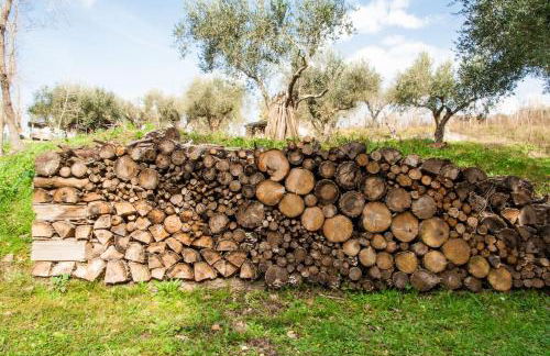 Villa de Luccheri - Foto 74