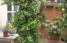 Viadelloca35 - Foto 29